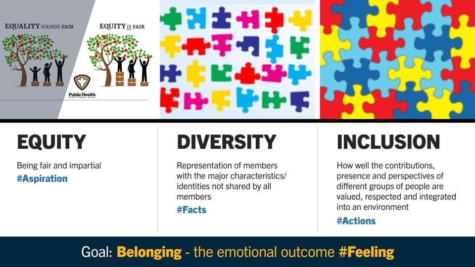 cross section of the definition of equity, diversity, and inclusion