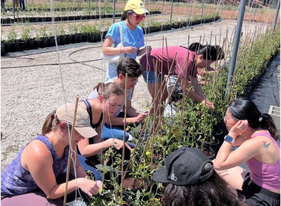 Primary Care Residents Gardening