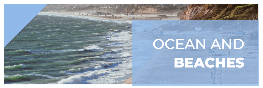 Ocean and Beaches Banner