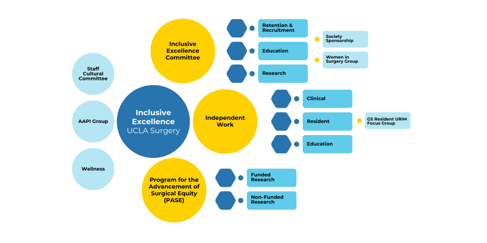 Flowchart depicting the structure of the UCLA Surgery Inclusive Excellence Committee