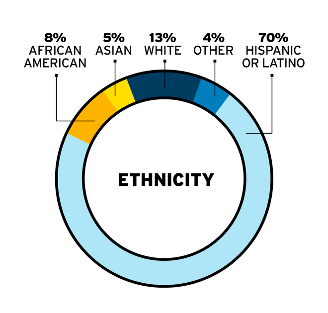 Ethnicity