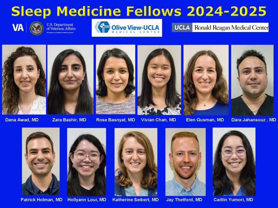 sleep fellows 2024-2025
