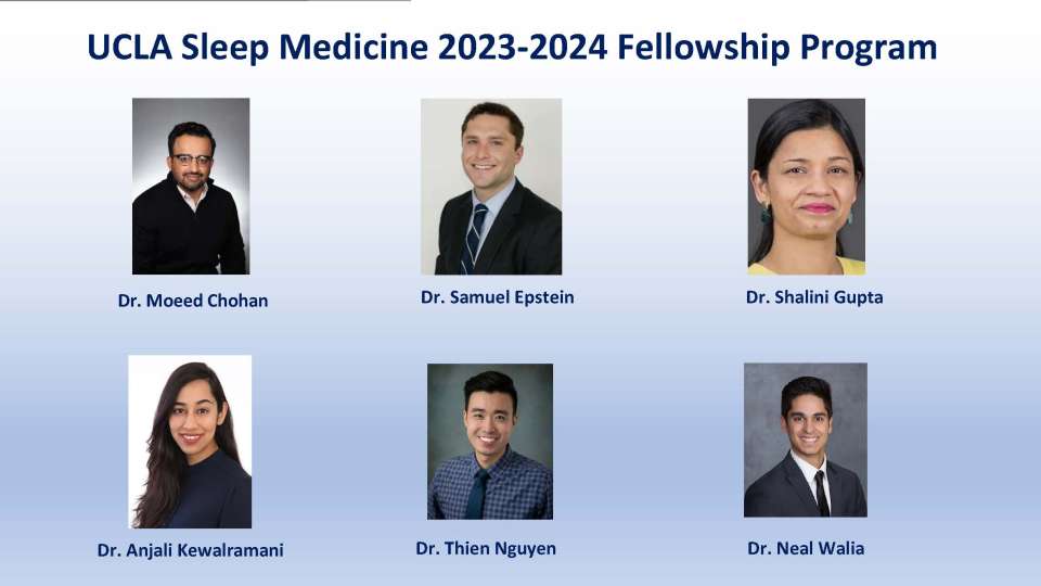 sleep fellows 2023-2024