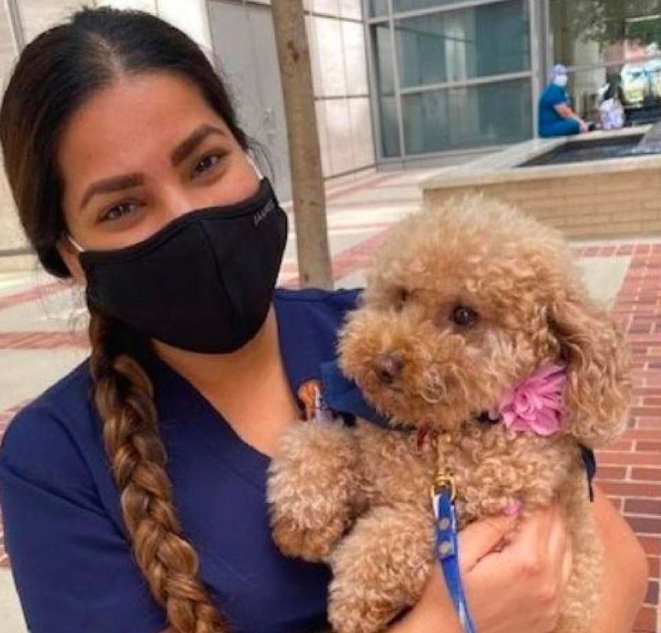 Outdoor Pet station with dog