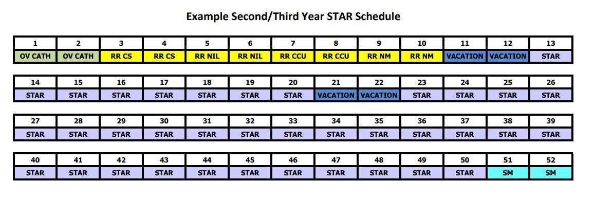 2-3 year schedule star