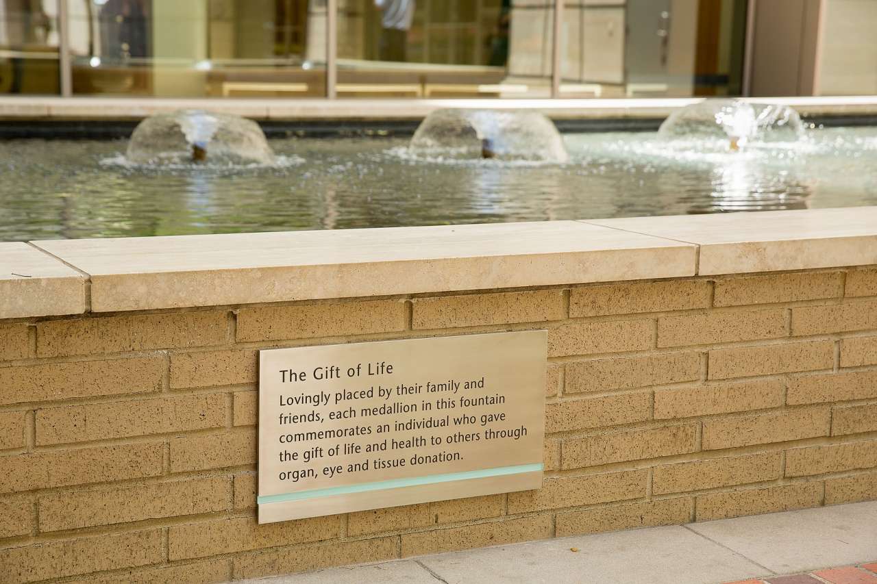 Gift of Life Fountain and plaque