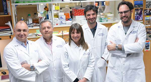Riccardo Olcese PhD Lab Team