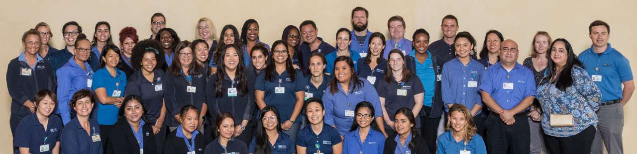 The Westwood Outpatient Rehab Team