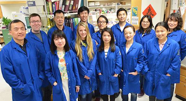 Yibin Wang PhD Lab Team