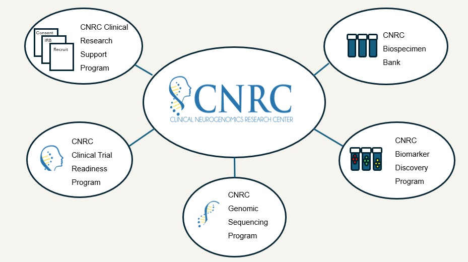 CNRC program flowchart showing all programs, which are also listed and described on Researchers page