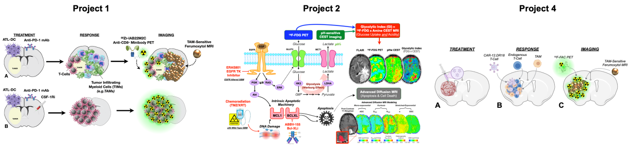 Diagram of the UCLA Health JCCC Brain SPORE Core 2 