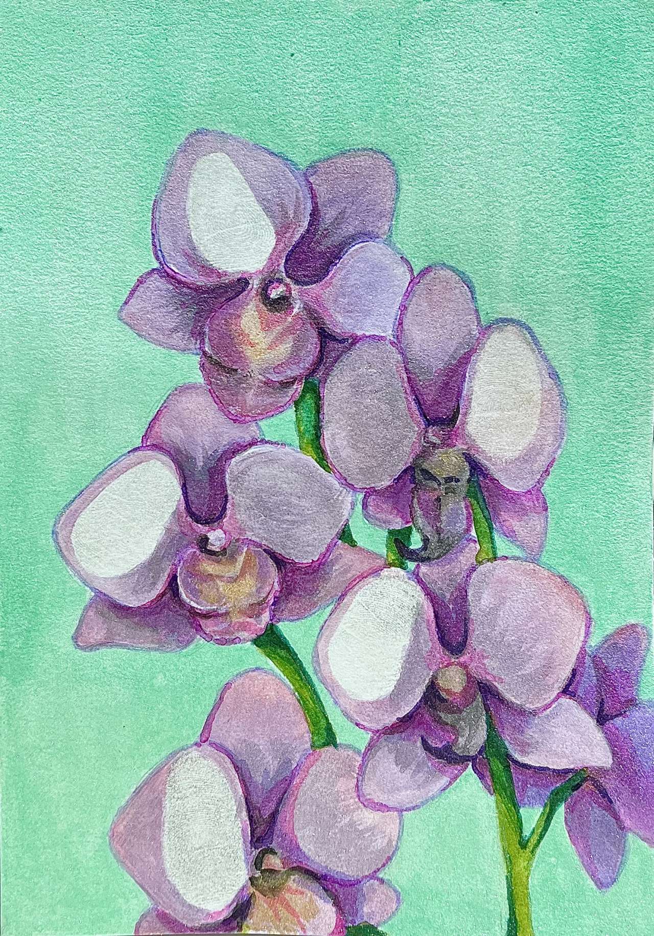 An painting of purple orchids in front of a mint green background, Painted by Lakshmi Mohan