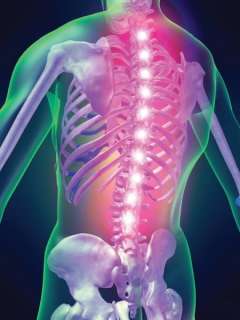Luminous illustration of a human spine and skeleton with colorful highlights.