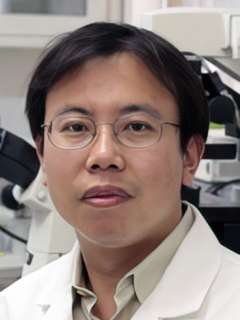 Hui Sun, PhD 
