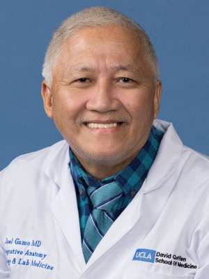 Joel Gamo, PhD