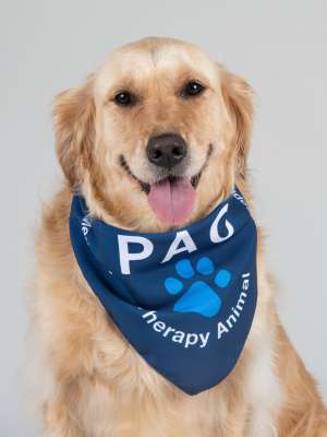 Samar PAC Therapy Animal (People-Animal Connection) 