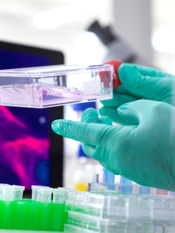 Gloved hands hold a lab container with cells, with microscope and cell images on a computer screen in the background.