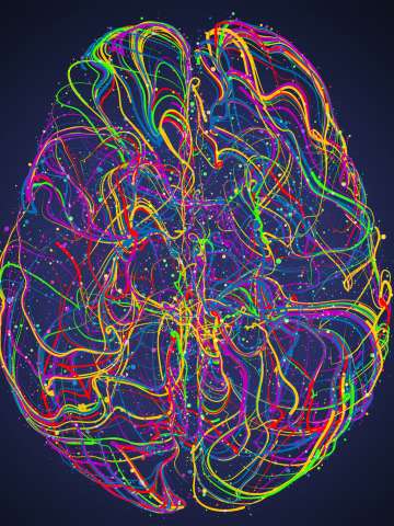 Vector colorful illustration of human brain with synapses.
