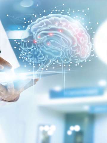 Brain scan illustration