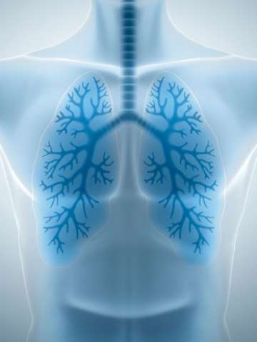 Lung scan on a human, using a blue color to show the lungs.