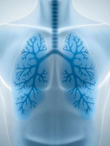 Lung Scan Illustration