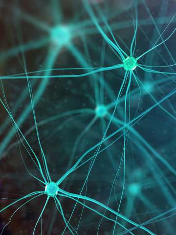 Learn more about movement disorders treatment at UCLA Health