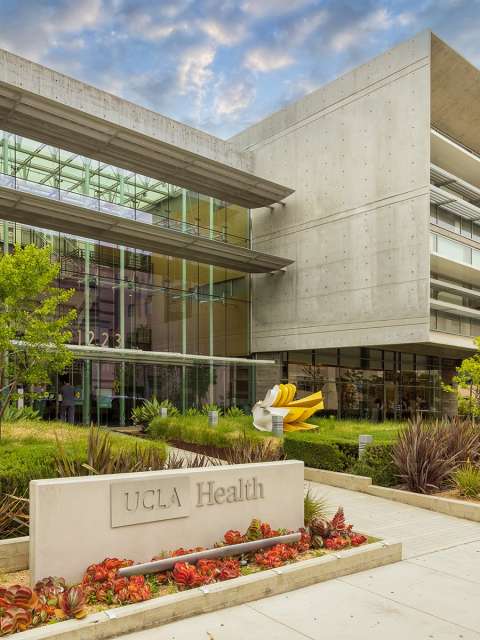 Lichtenstein Amid Hernia Clinic at UCLA Health