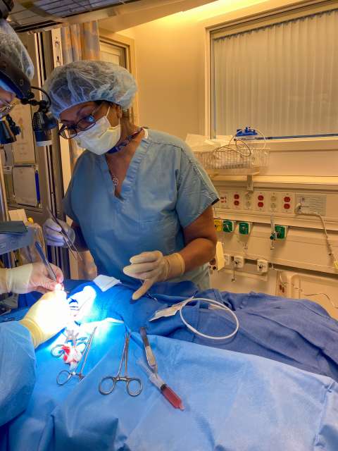 DAPM Resident Retreat Cover