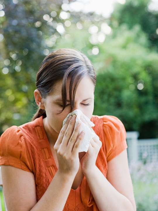 Allergy & Immunology UCLA Health Los Angeles, CA