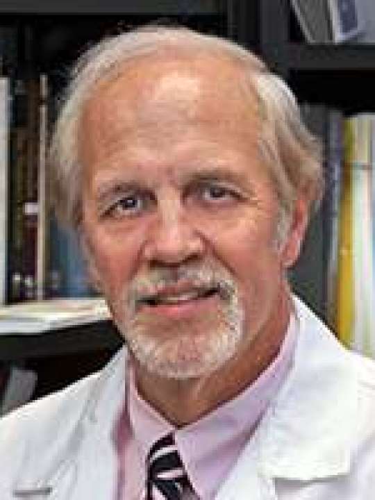 Faculty Family Medicine UCLA Health