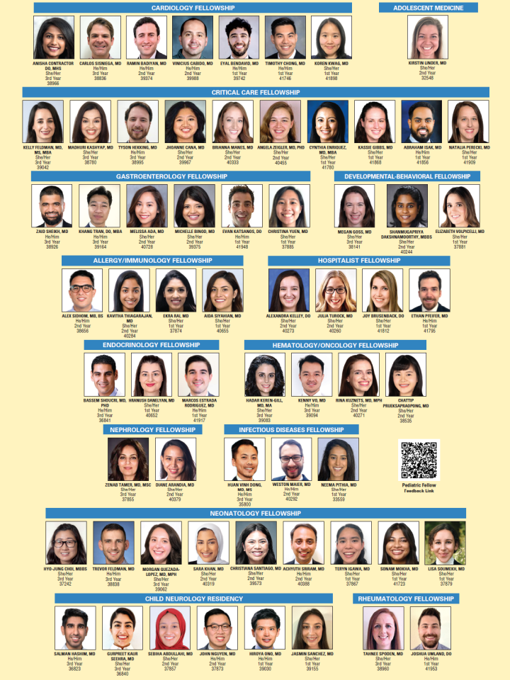 poster of the AY 24-25 Fellows featuring everyone's headshots and names