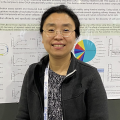 Dongyun Zhang, PhD