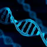 Genetics and chromosomes