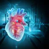 3D image of a heart.