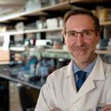 Dr. Antoni Ribas in the lab.