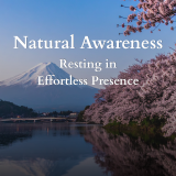 Mountain with cherry blossoms reflected in a calm lakeside scene