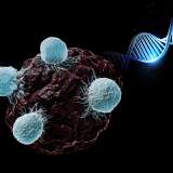 Illustration of T cells attacking cancer cells with a DNA model.