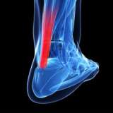 Video Library Orthopedics