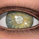 Video Library Ophthalmology