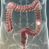 Video Library Gastrointestinal