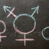 Female, transgender and male symbols on chalkboard