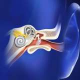 Video Library Ear, Nose and Throat