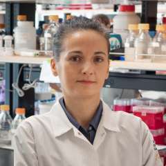 Milica Momcilovic, MD PhD