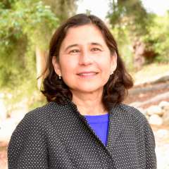Yvonne L. Hernandez-Kapila, DDS, PhD