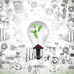 Lightbulb with growing plant inside bulb. In the background there's a lot of black and white hand drawings.