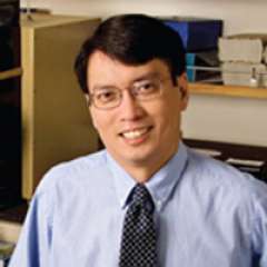 William H. Yong, MD