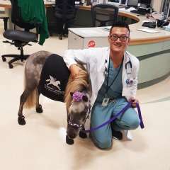 Wu, Andrew - Andrew with a PAC therapy animal